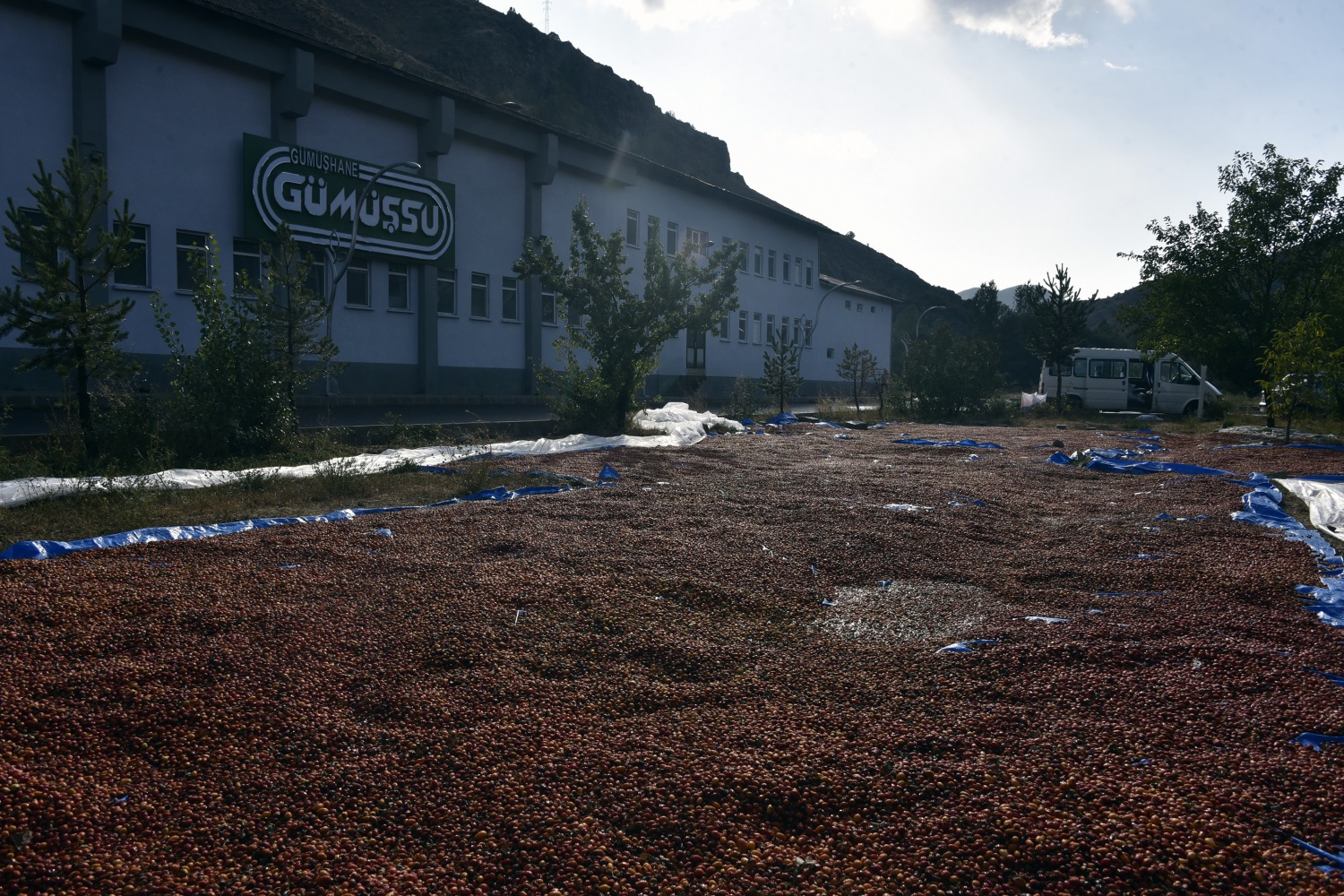 Fabrikanın bahçesi kırmızı renge büründü 21