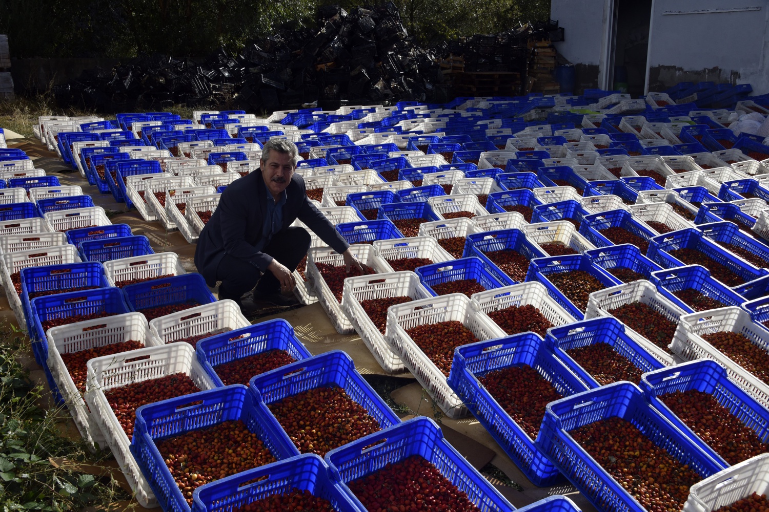 Fabrikanın bahçesi kırmızı renge büründü 20