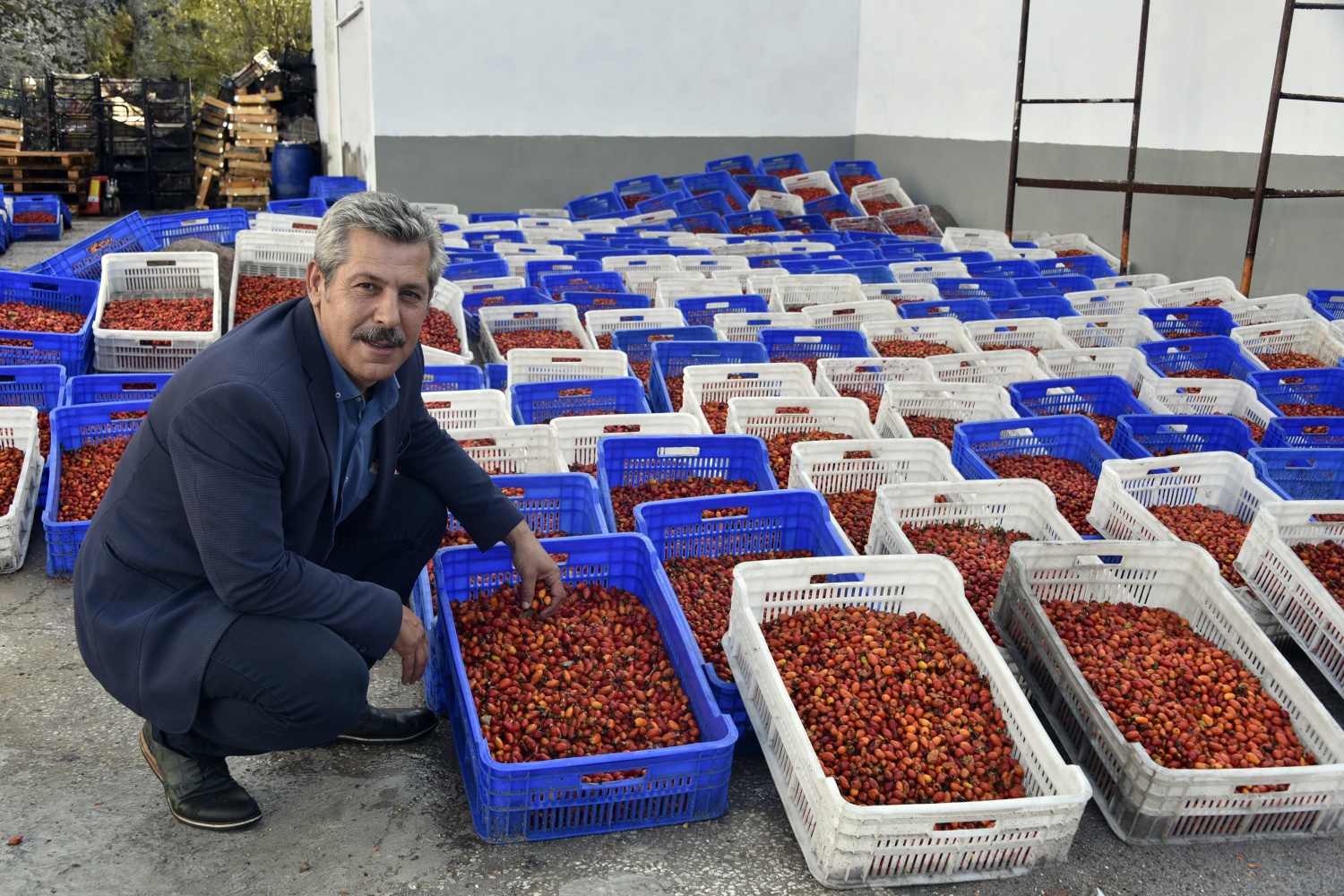 Fabrikanın bahçesi kırmızı renge büründü 19