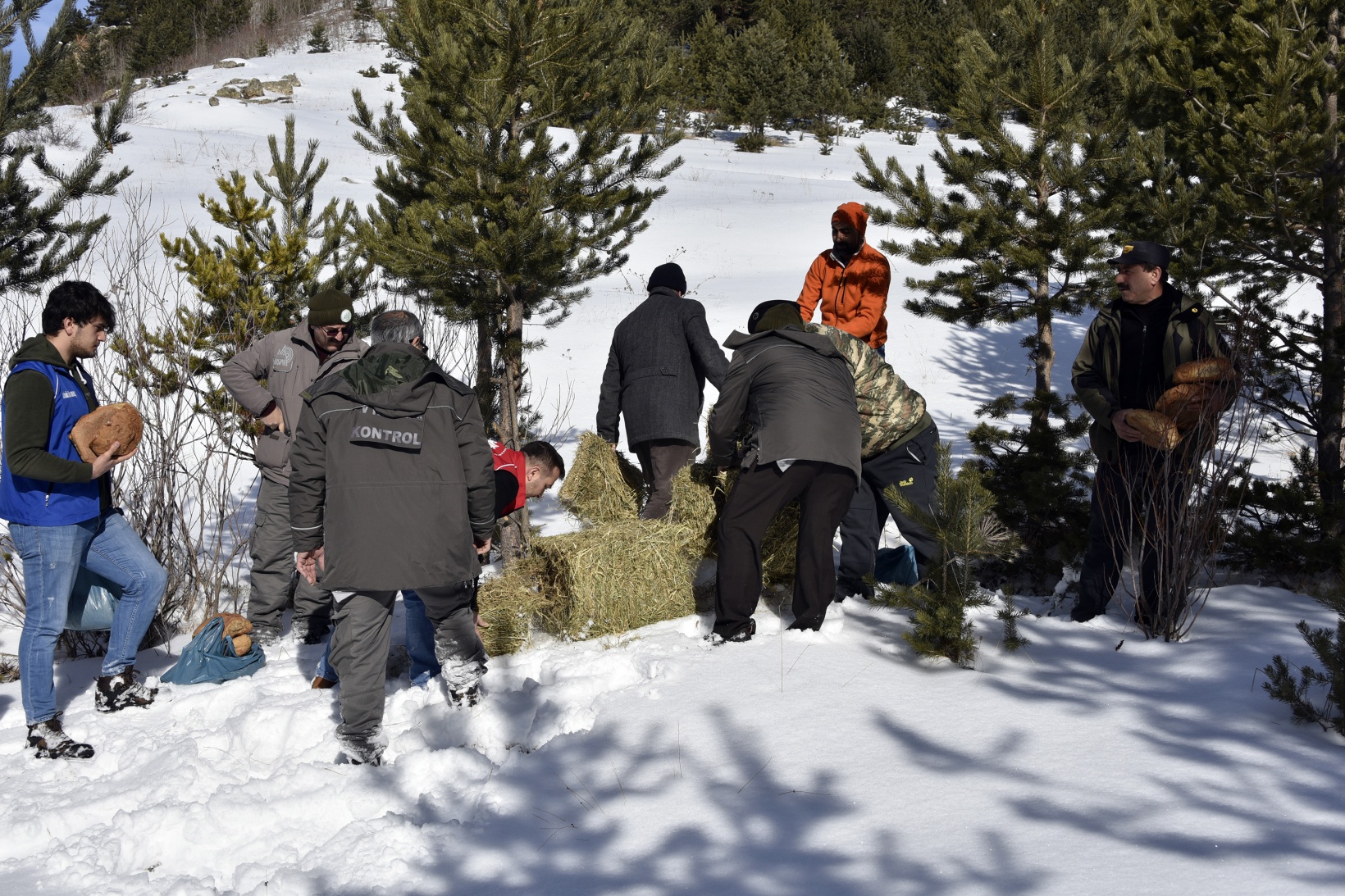 Gümüşhane’de yaban hayatına yem bırakıldı 10