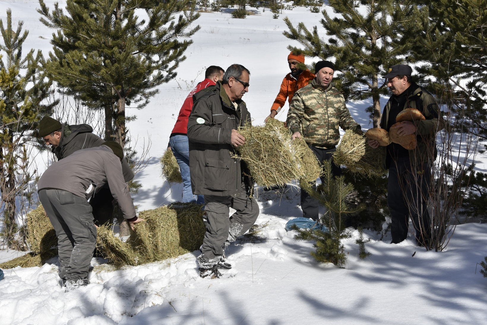 Gümüşhane’de yaban hayatına yem bırakıldı 29