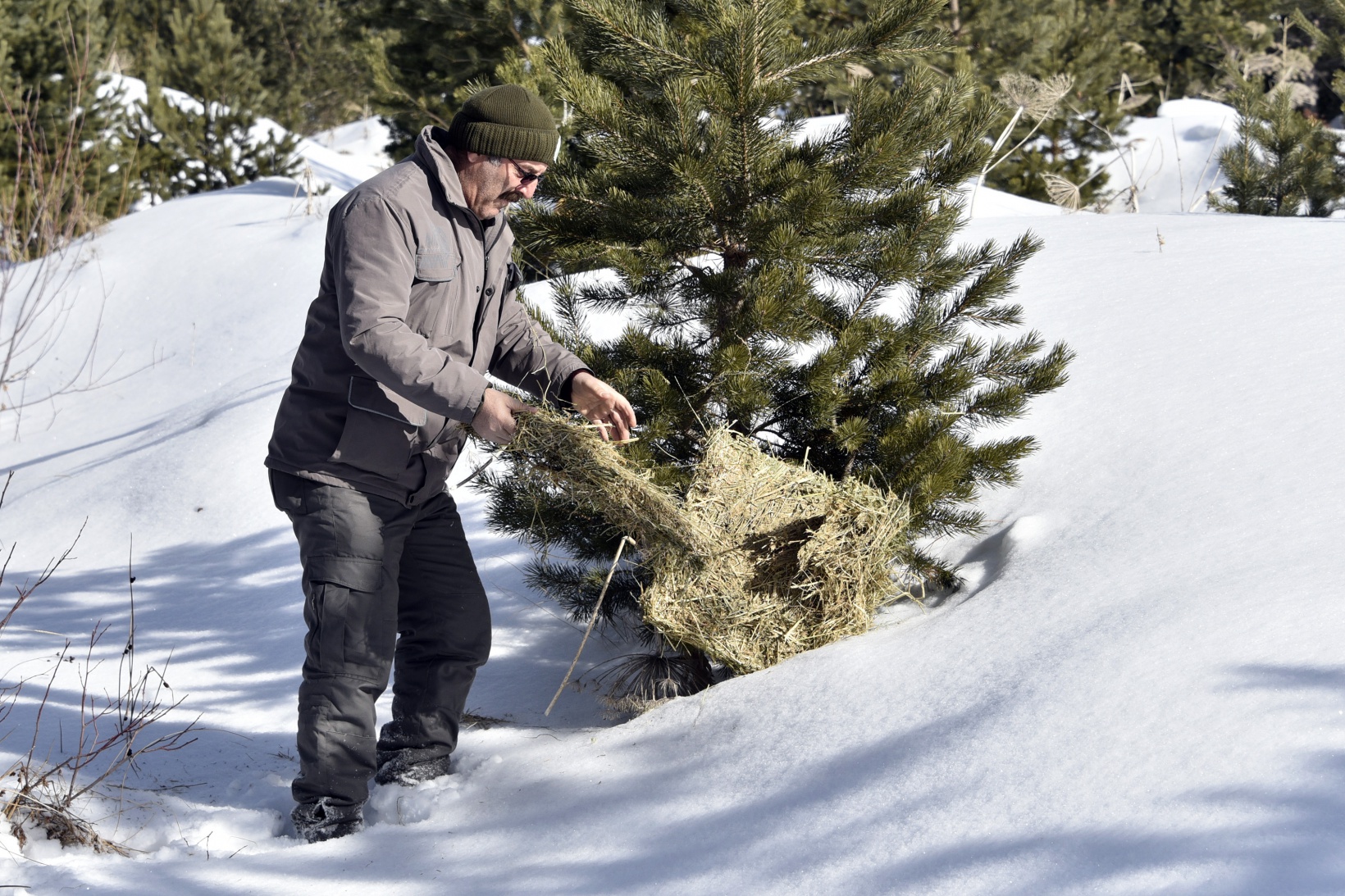 Gümüşhane’de yaban hayatına yem bırakıldı 14