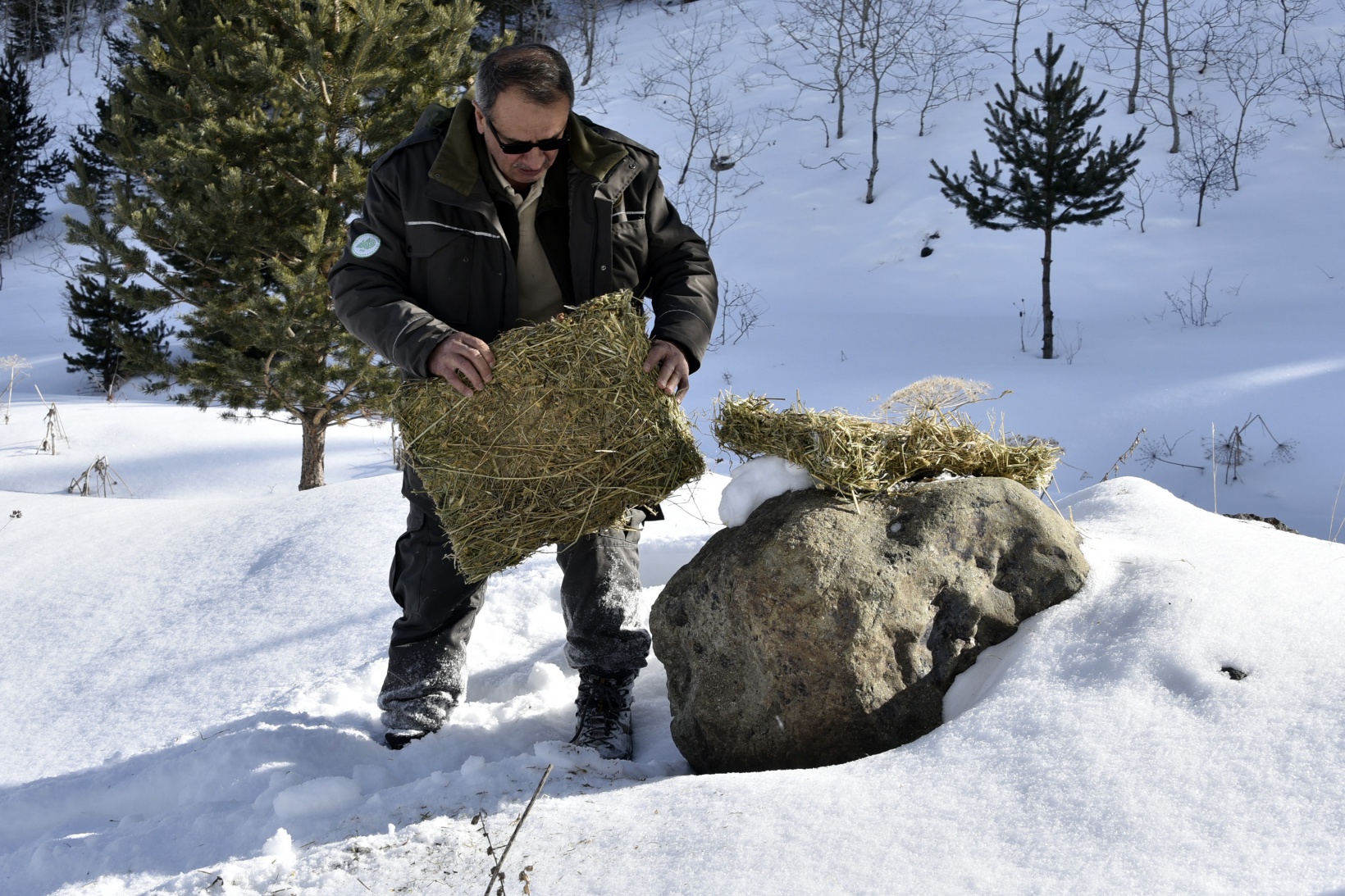 Gümüşhane’de yaban hayatına yem bırakıldı 20