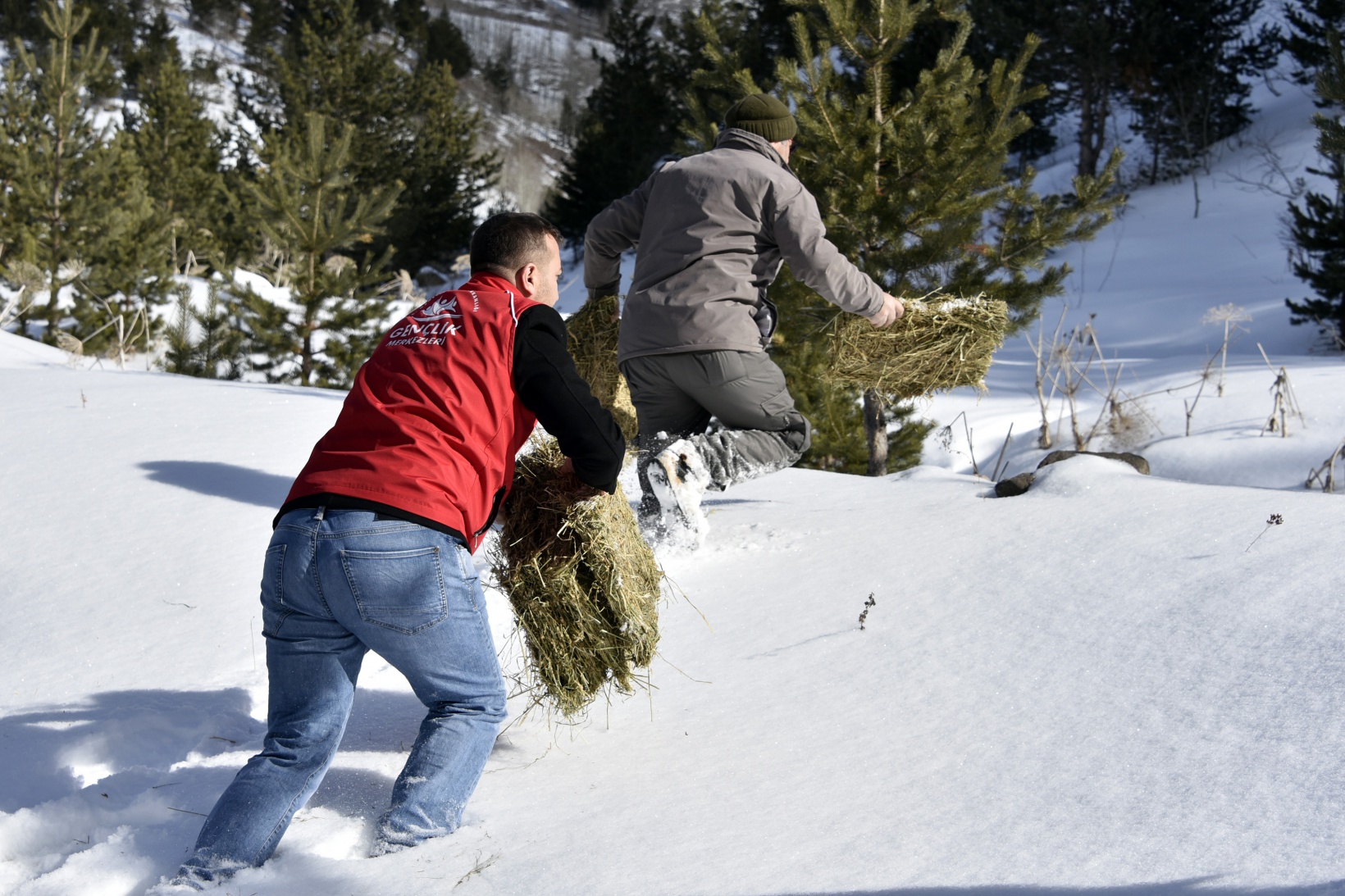 Gümüşhane’de yaban hayatına yem bırakıldı 11