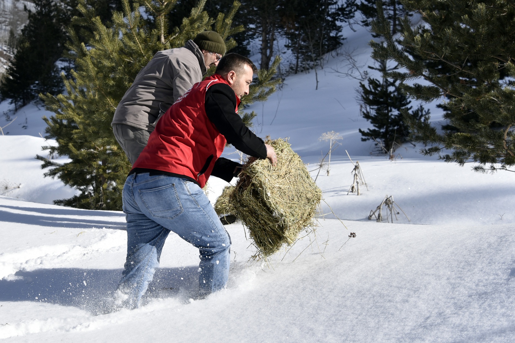 Gümüşhane’de yaban hayatına yem bırakıldı 8