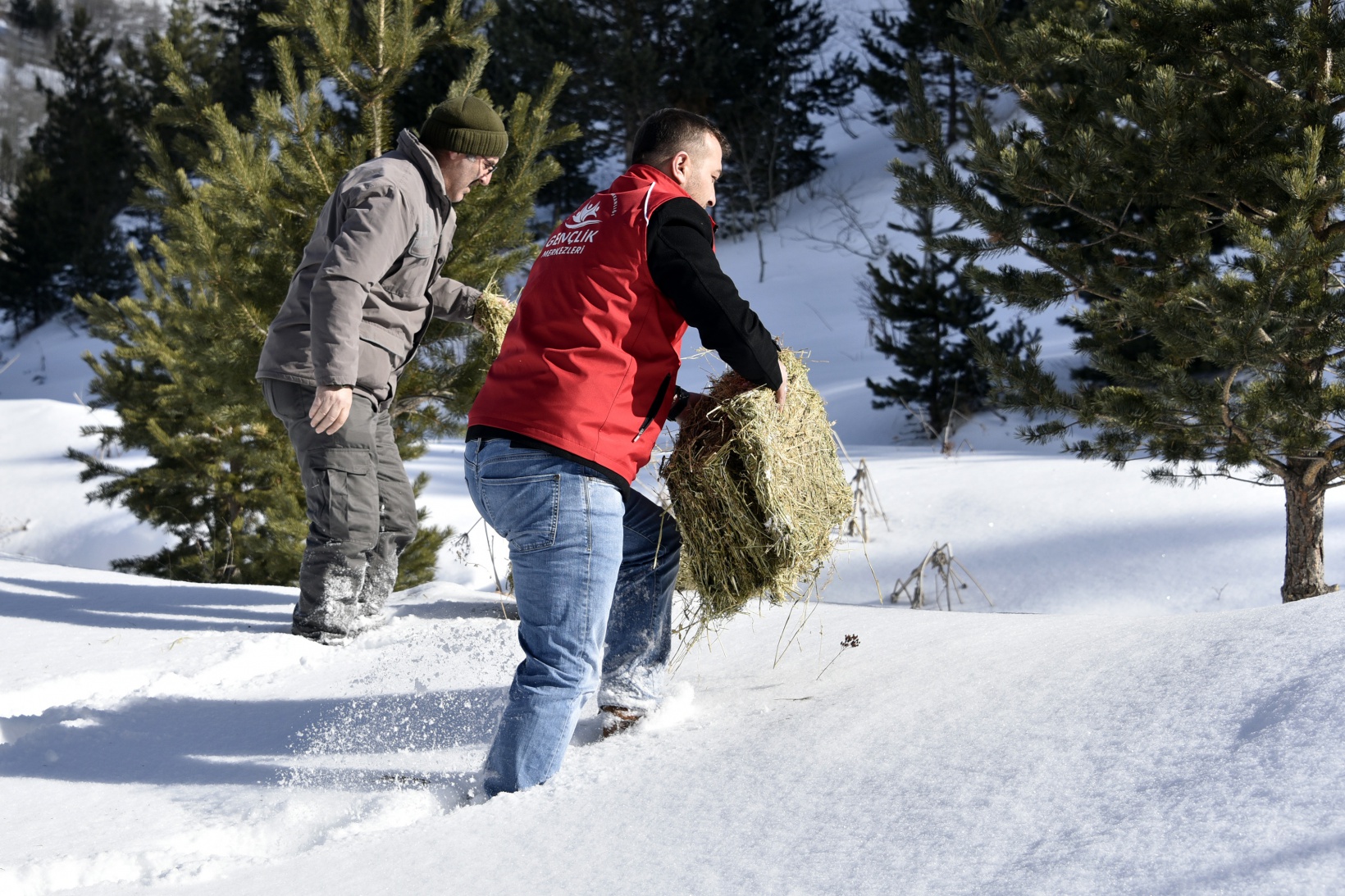 Gümüşhane’de yaban hayatına yem bırakıldı 12