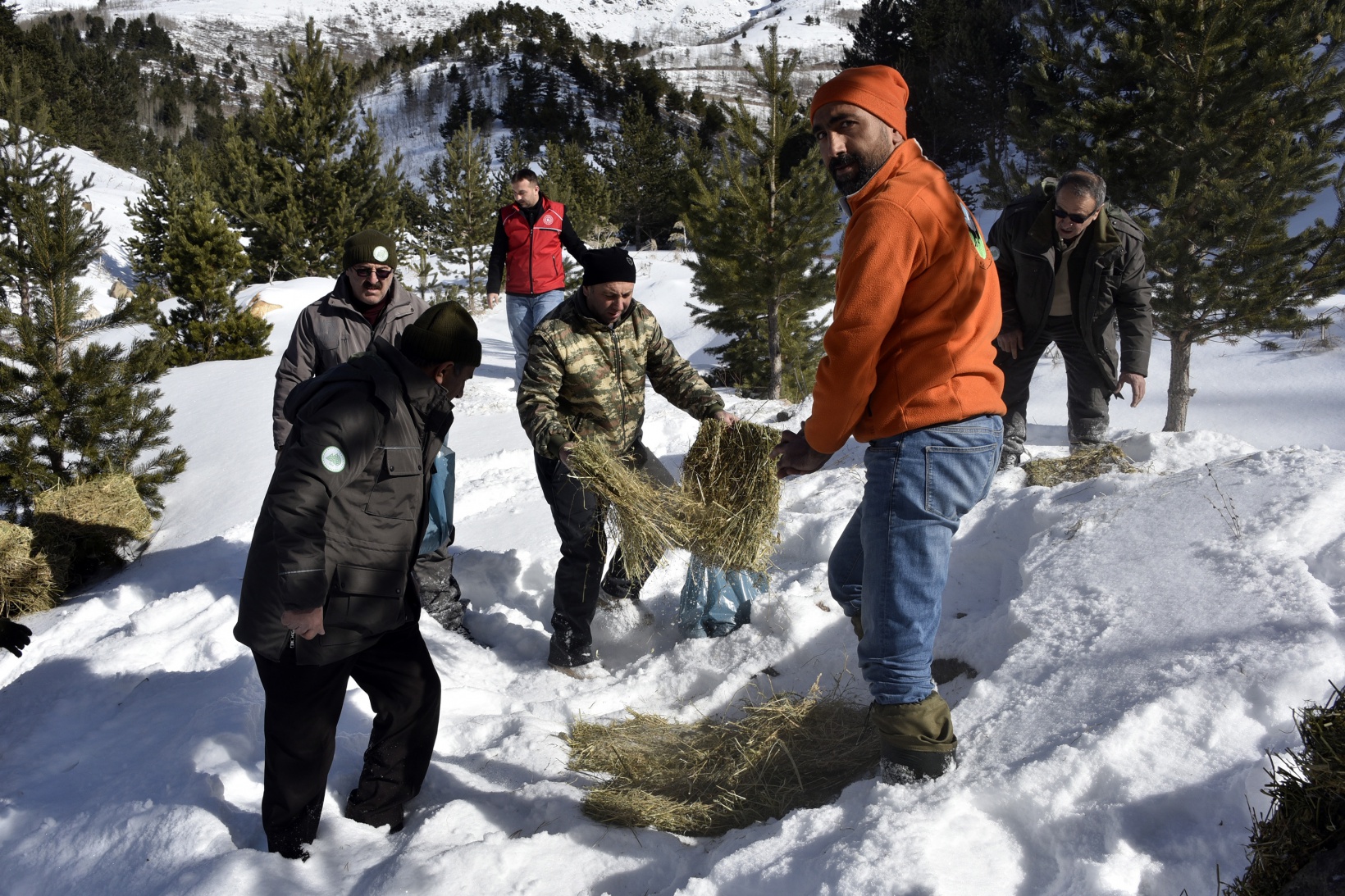 Gümüşhane’de yaban hayatına yem bırakıldı 6