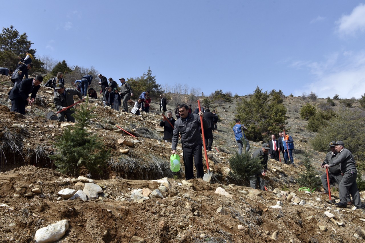 Gümüşhane’de Ormancılık Günü Kutlandı 25