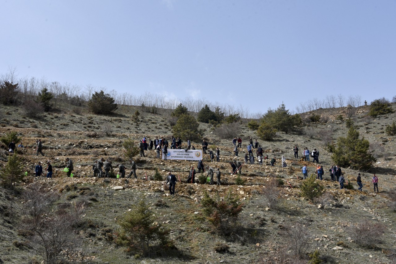 Gümüşhane’de Ormancılık Günü Kutlandı 26