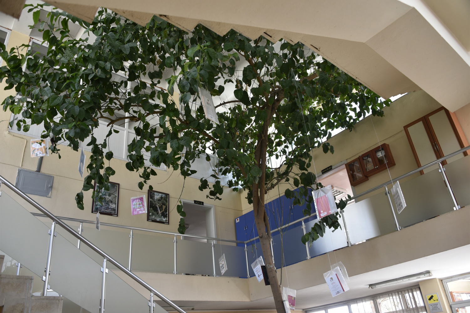 Limon ağaçlı kütüphane ilgi çekiyor 20