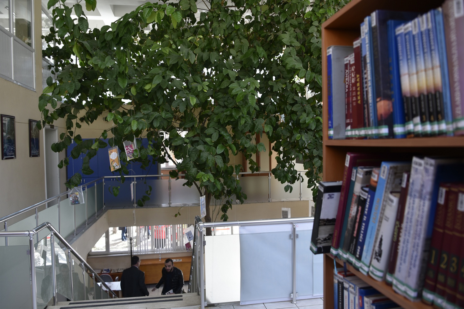 Limon ağaçlı kütüphane ilgi çekiyor 11