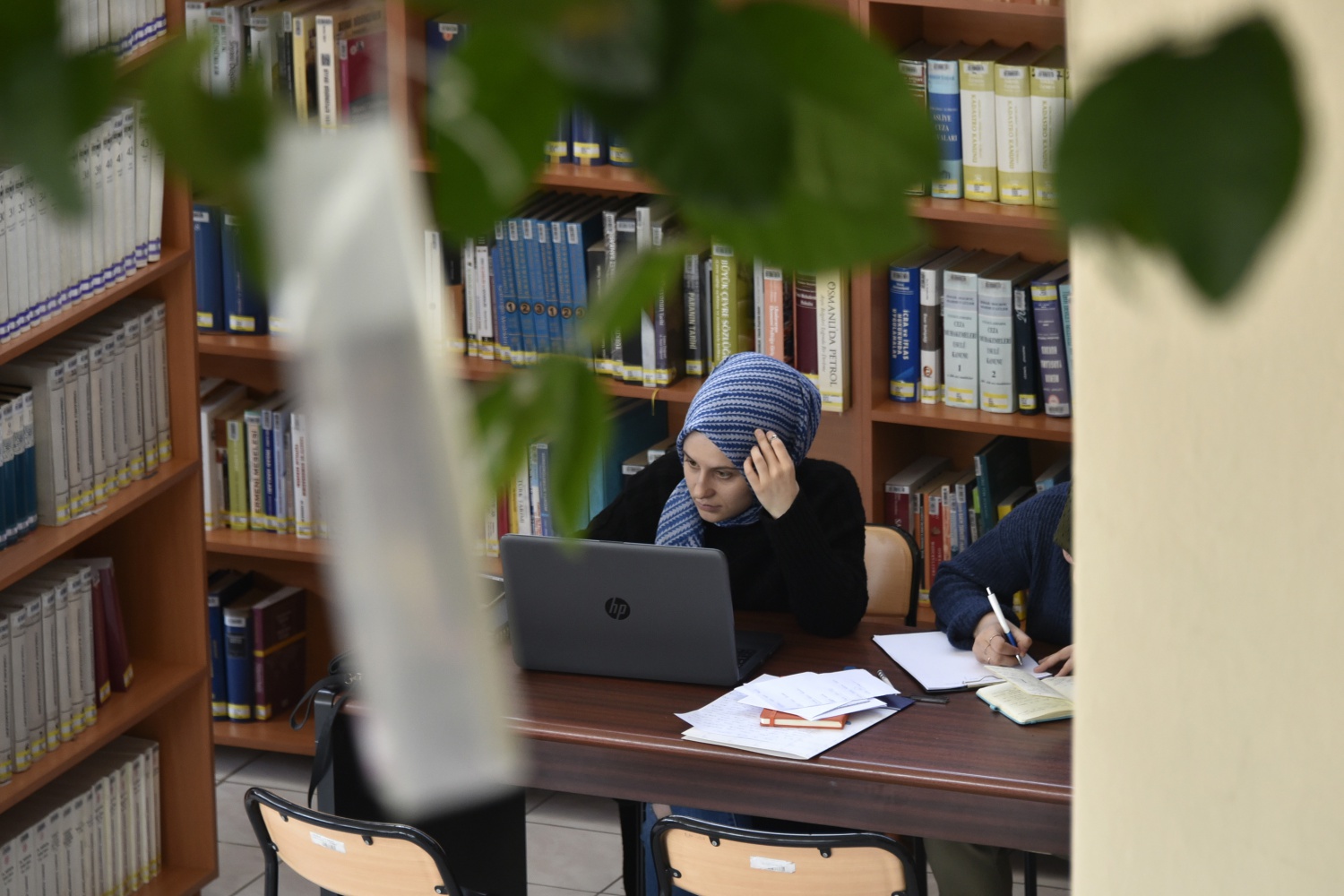 Limon ağaçlı kütüphane ilgi çekiyor 6