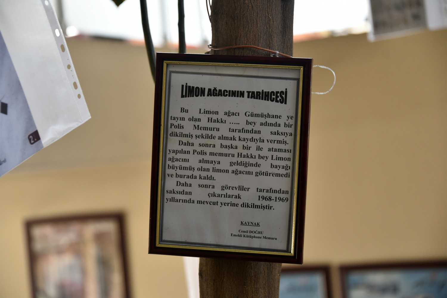 Limon ağaçlı kütüphane ilgi çekiyor 2