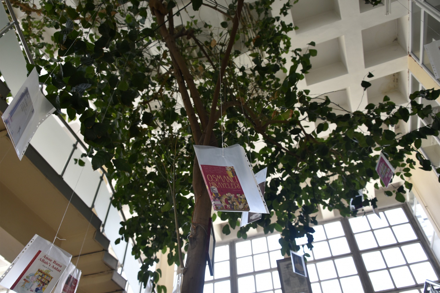 Limon ağaçlı kütüphane ilgi çekiyor 14