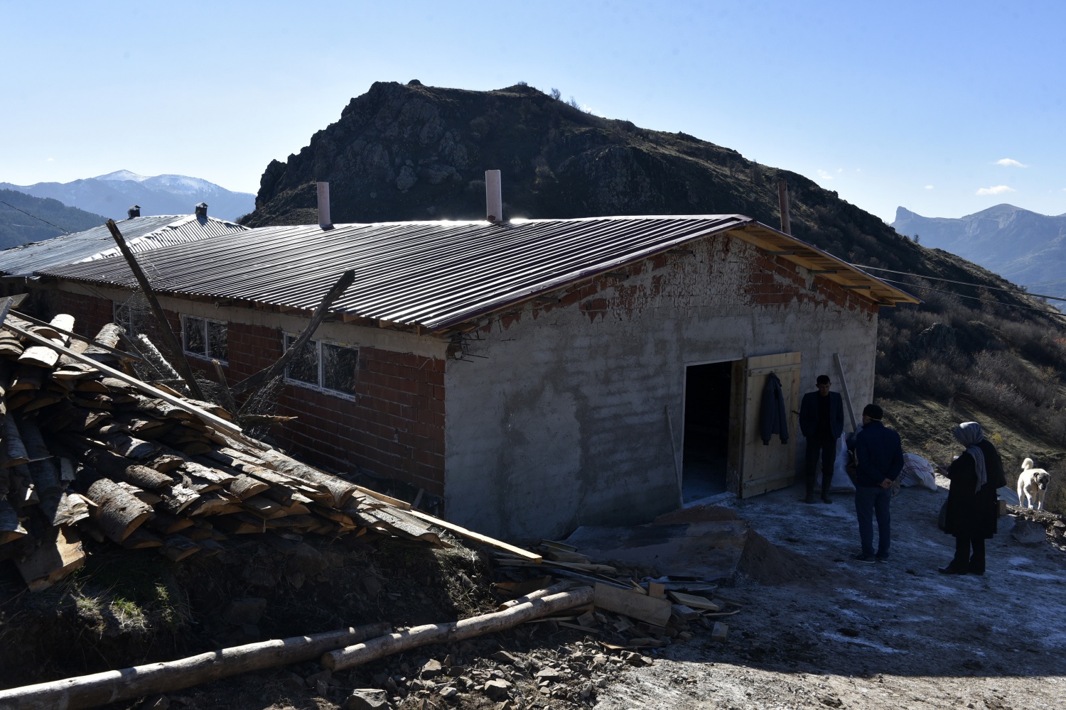 O ahırda dün gece 2 hayvan daha telef oldu 7