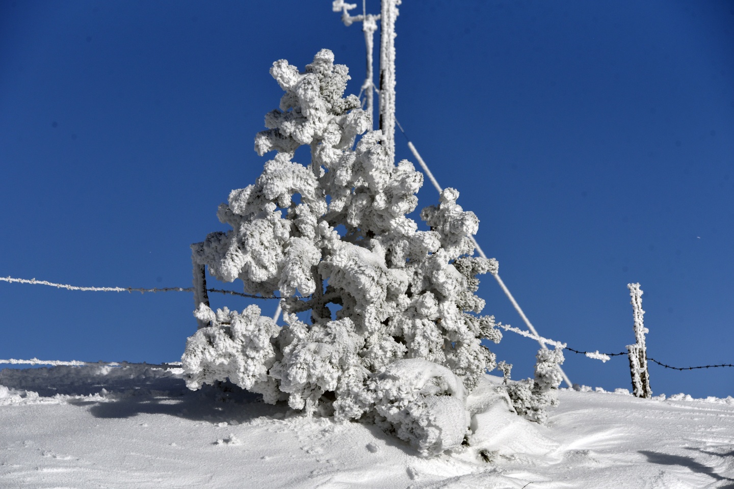 Zigana’da kayak sezonu başladı 9
