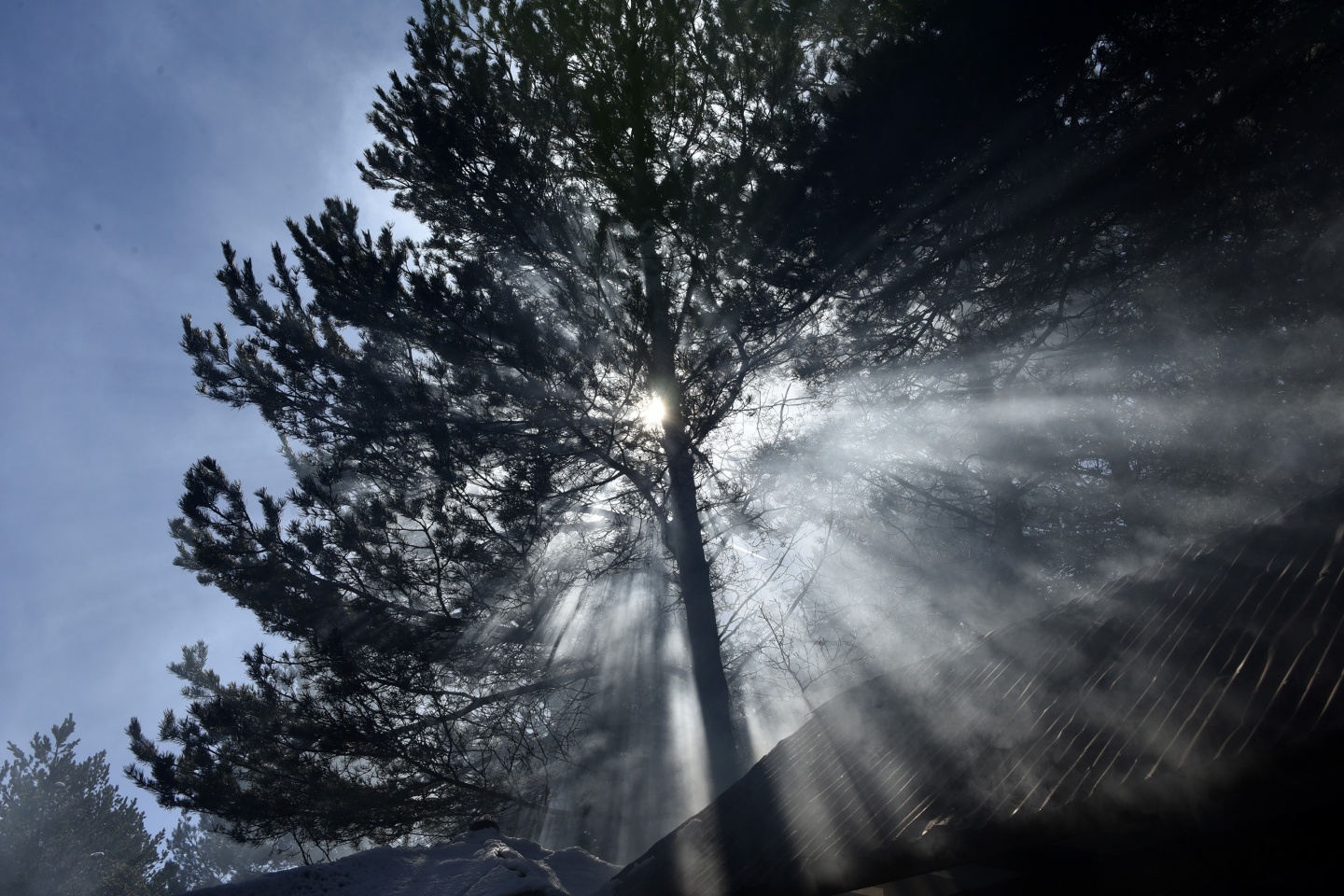 Limni Gölünde sezon hızlı başladı 11