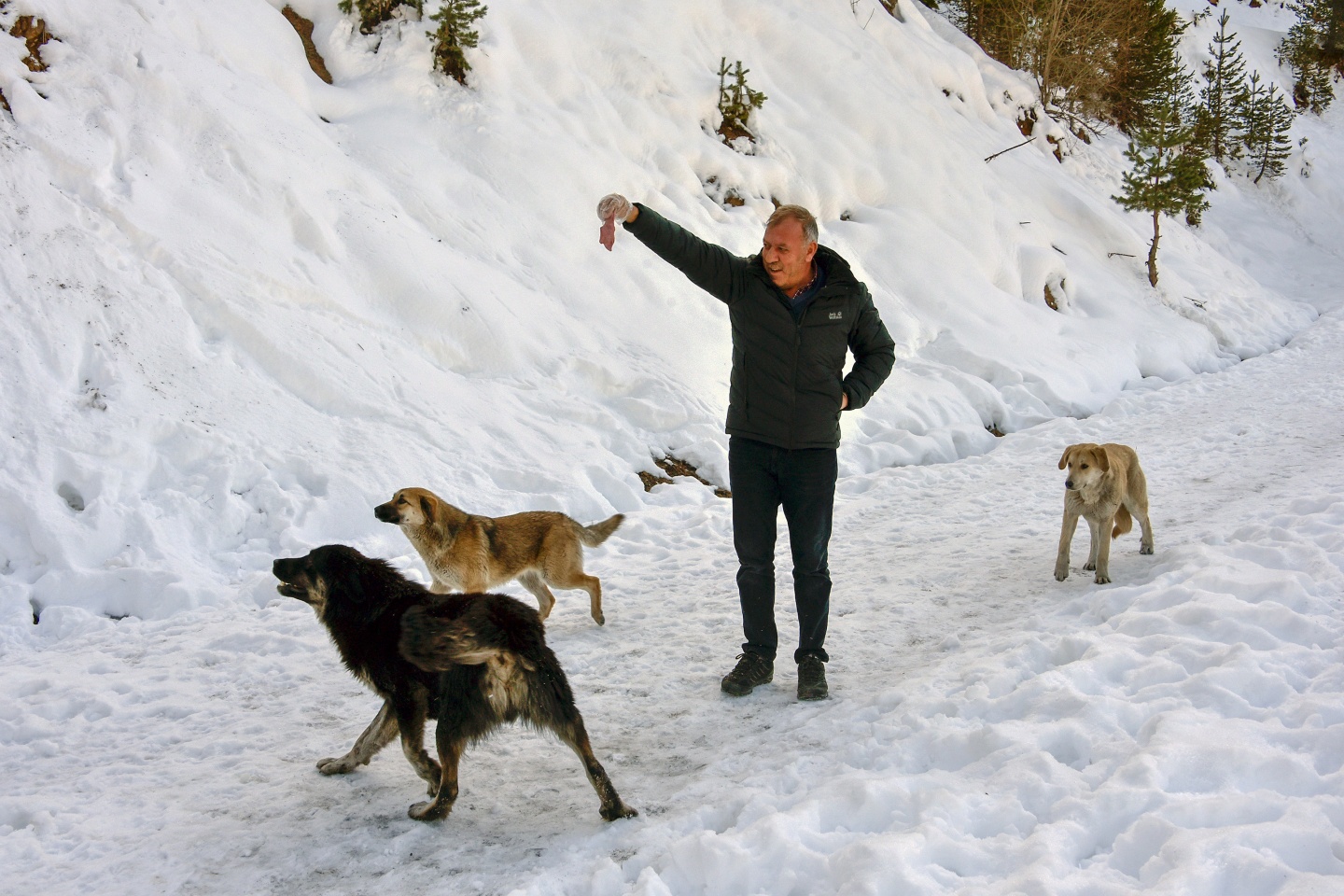 Gümüşhane’de yoğun kış şartlarında yaban hayatı unutulmuyor 16