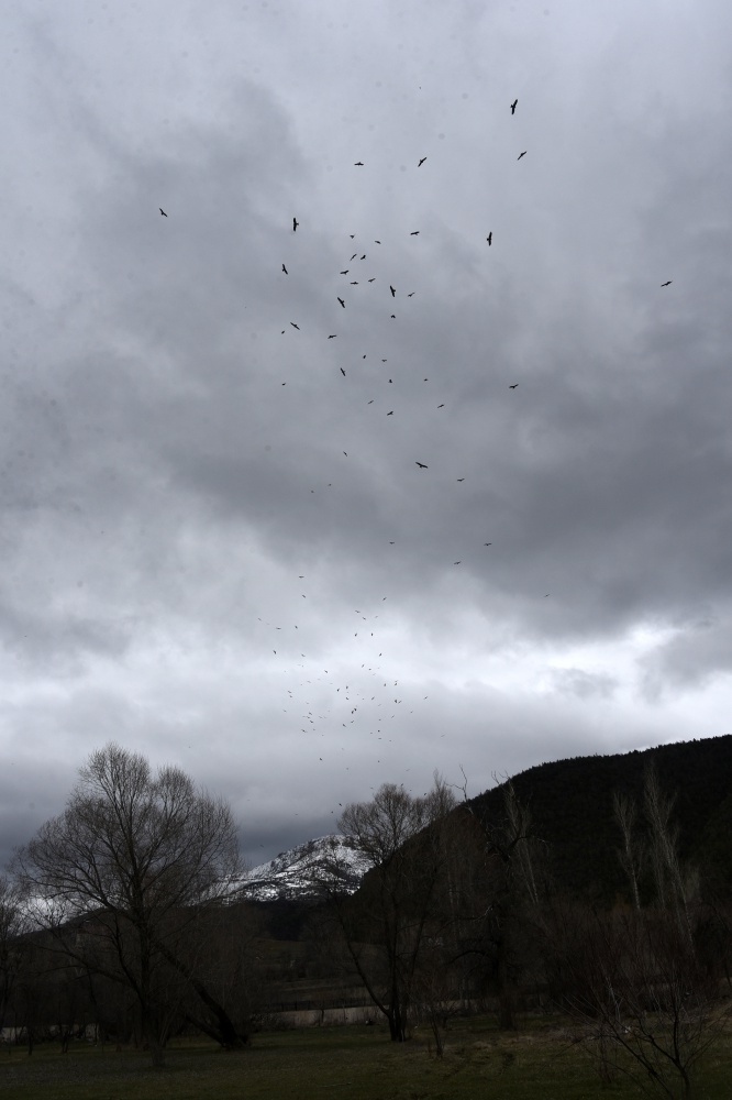 Gökyüzünü sardılar, Gümüşhane’de ilk kez görüntülendiler 10