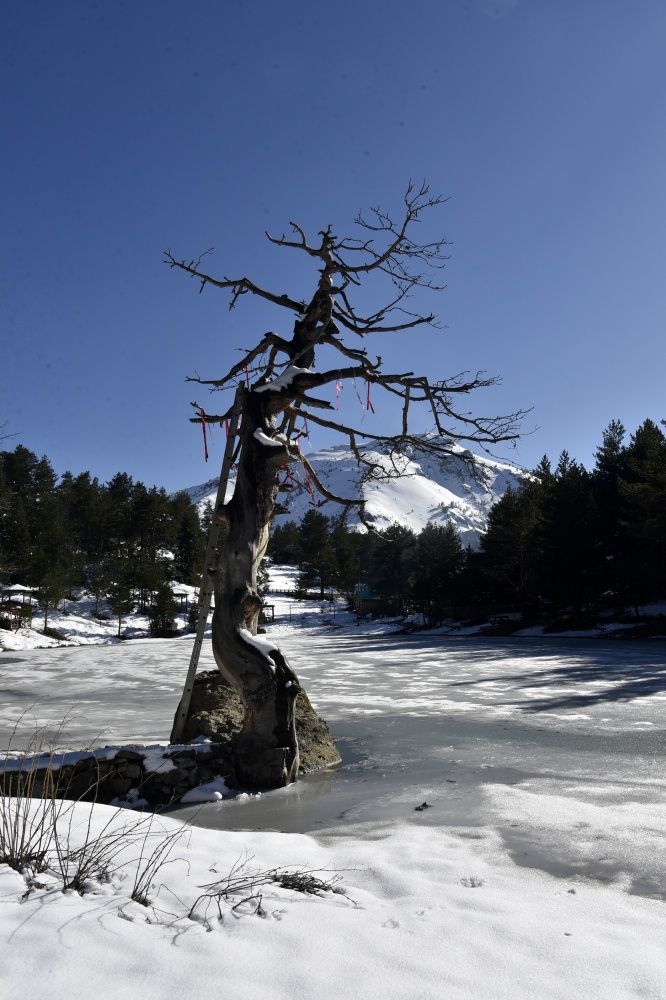 Limni Gölünde sezon hızlı başladı 25