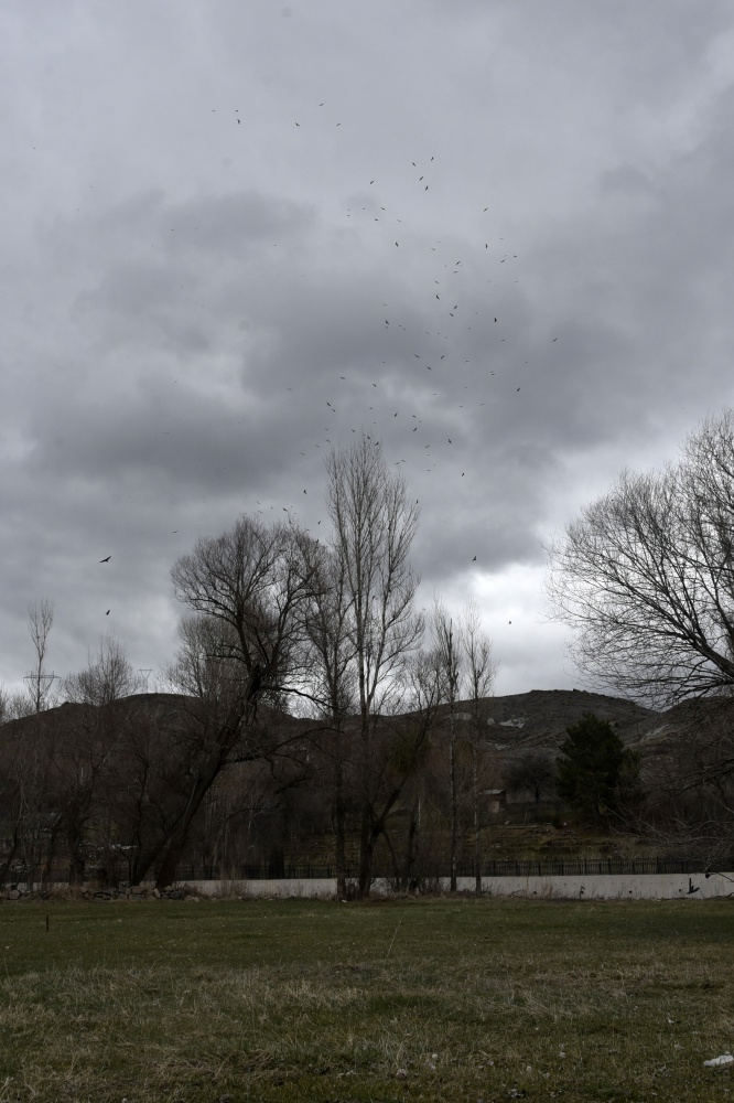 Gökyüzünü sardılar, Gümüşhane’de ilk kez görüntülendiler 5