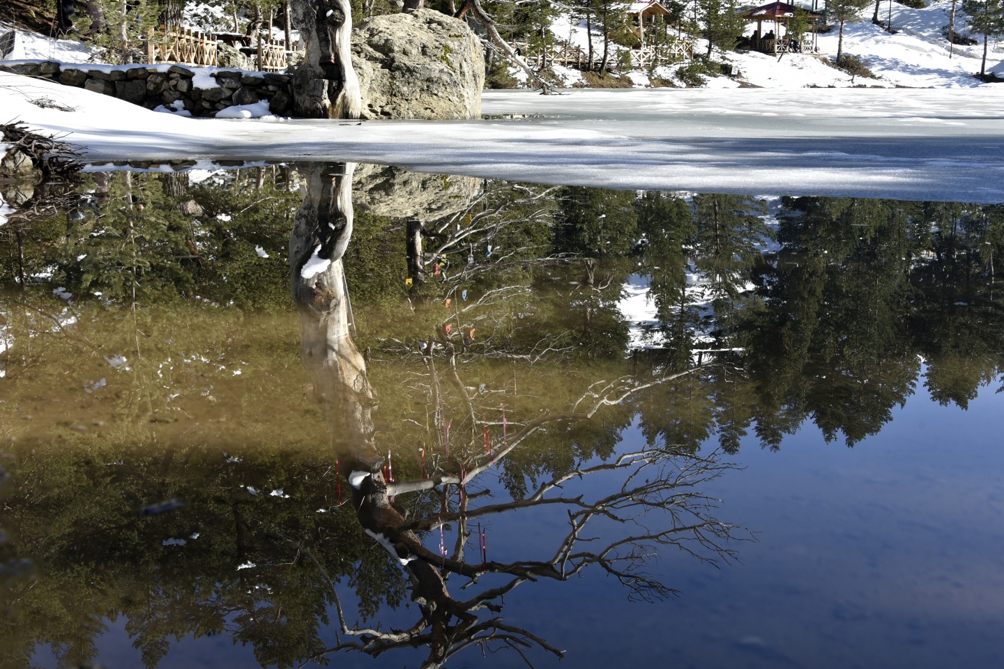Limni Gölünde sezon hızlı başladı 26