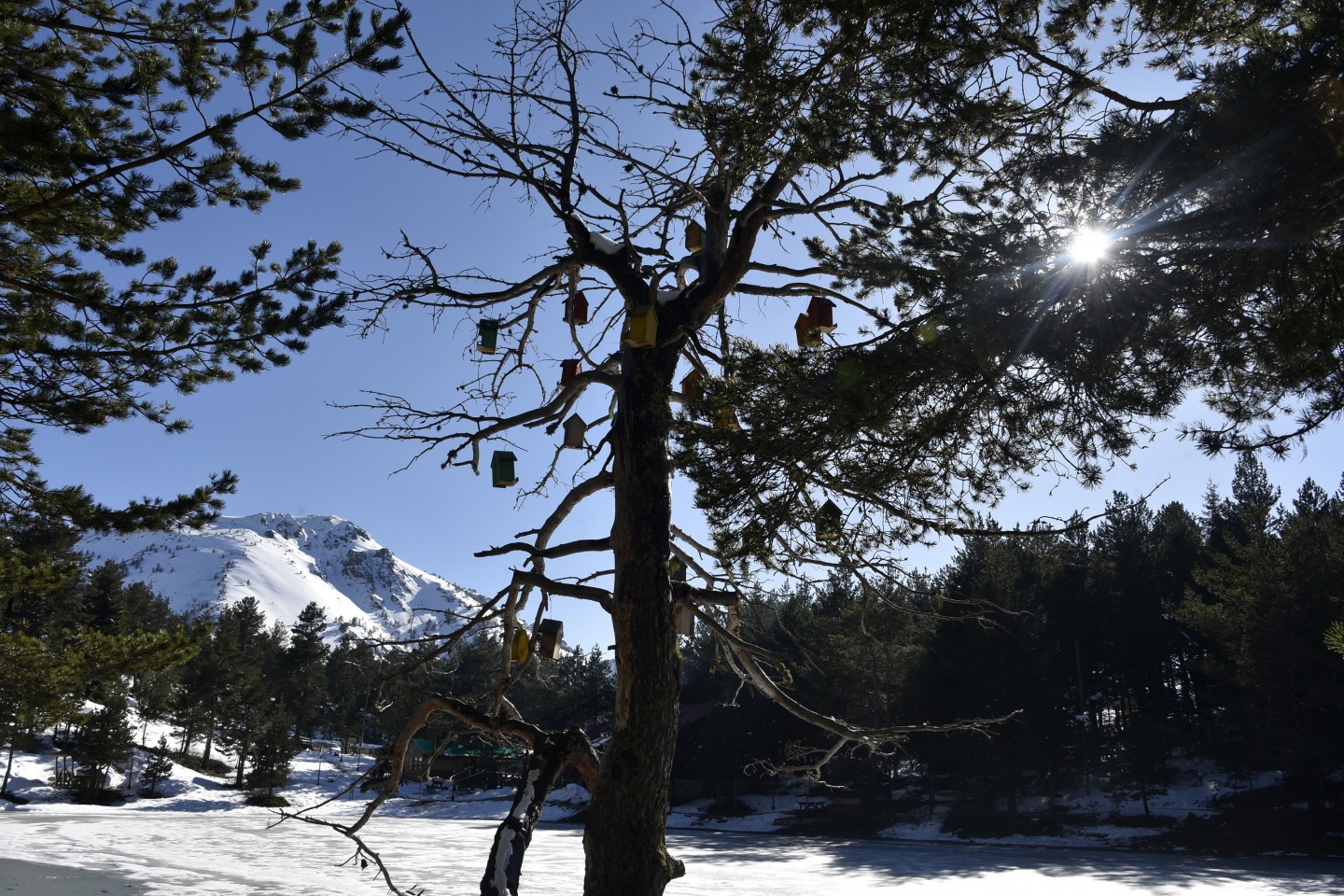 Limni Gölünde sezon hızlı başladı 27