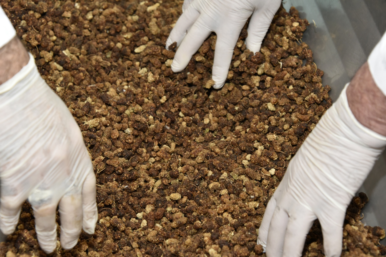 Balı organik, satışı teknolojik pestil üretiyor 19