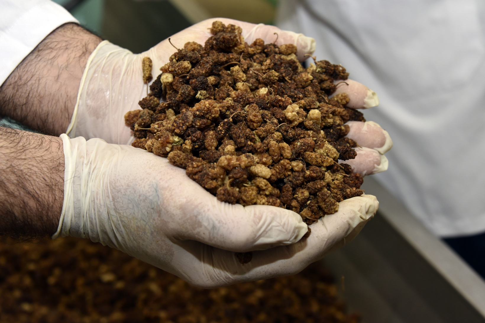 Balı organik, satışı teknolojik pestil üretiyor 14