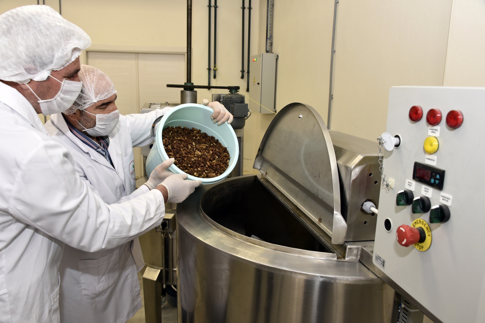 Balı organik, satışı teknolojik pestil üretiyor 23