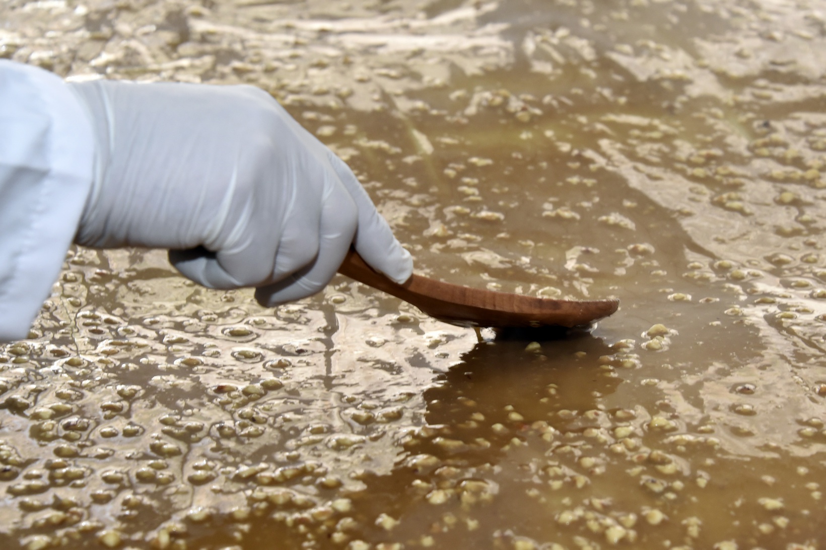 Balı organik, satışı teknolojik pestil üretiyor 4