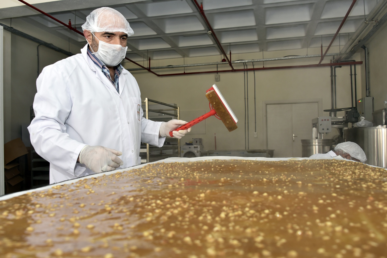 Balı organik, satışı teknolojik pestil üretiyor 8