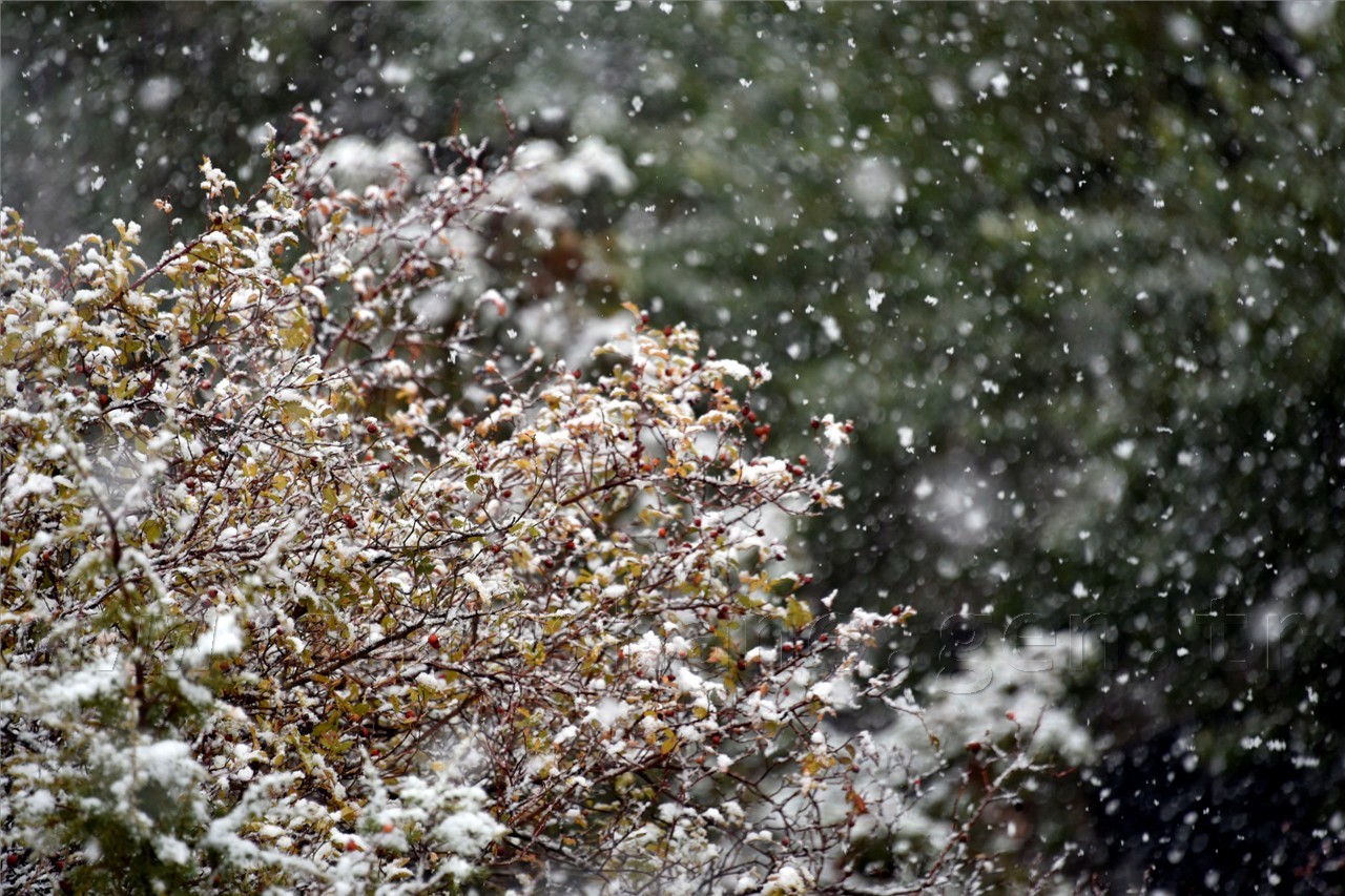 Gümüşhane'ye yılın ilk karı yağdı 2