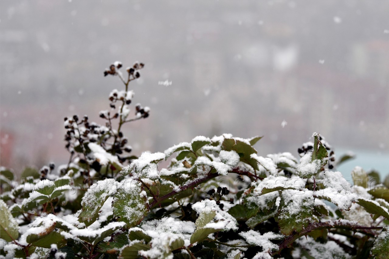 Gümüşhane'ye yılın ilk karı yağdı 6