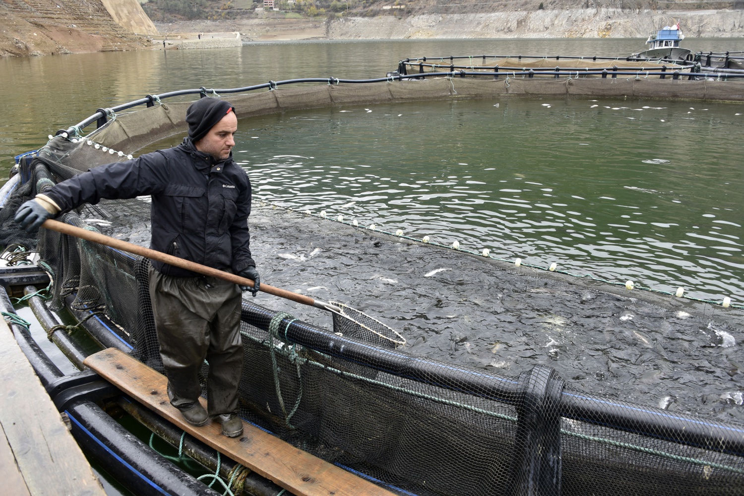 12 bin nüfuslu ilçeden milyon nüfuslu ülkelere balık ihraç ediliyor 8