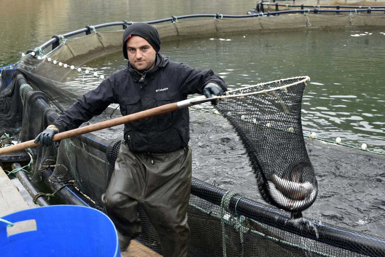 12 bin nüfuslu ilçeden milyon nüfuslu ülkelere balık ihraç ediliyor 5