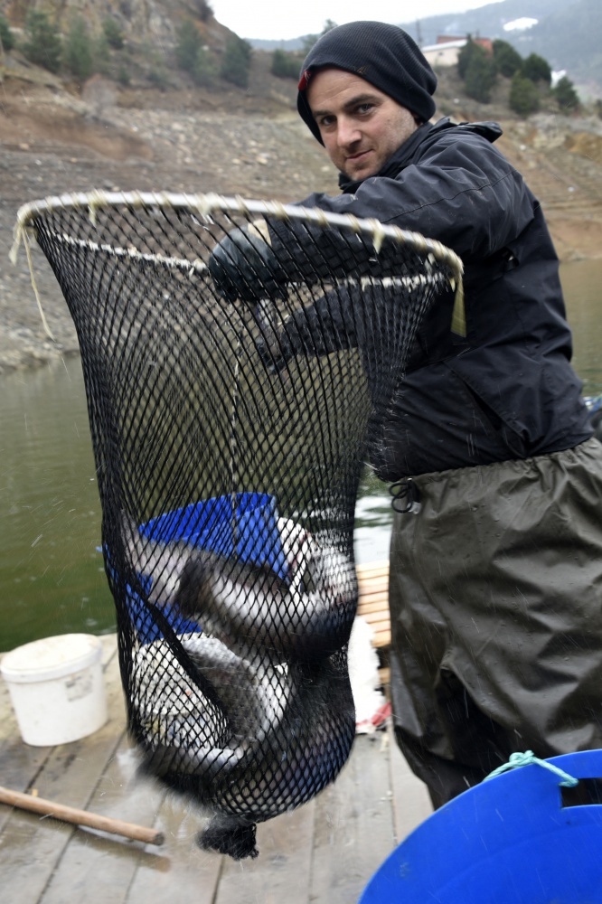 12 bin nüfuslu ilçeden milyon nüfuslu ülkelere balık ihraç ediliyor 3