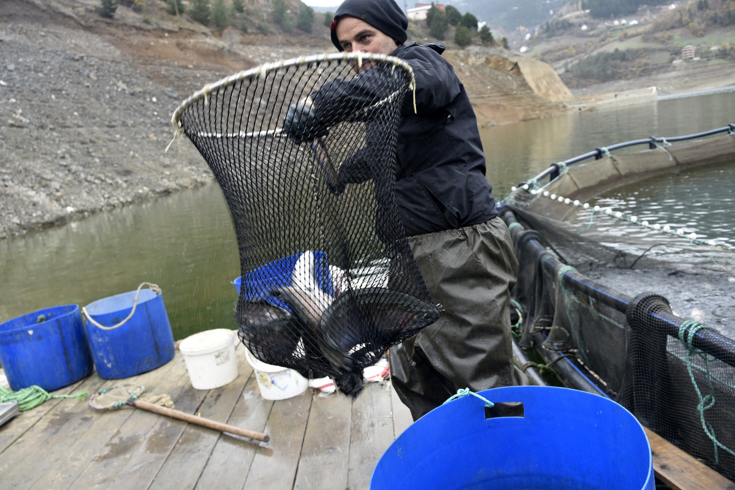 12 bin nüfuslu ilçeden milyon nüfuslu ülkelere balık ihraç ediliyor 4
