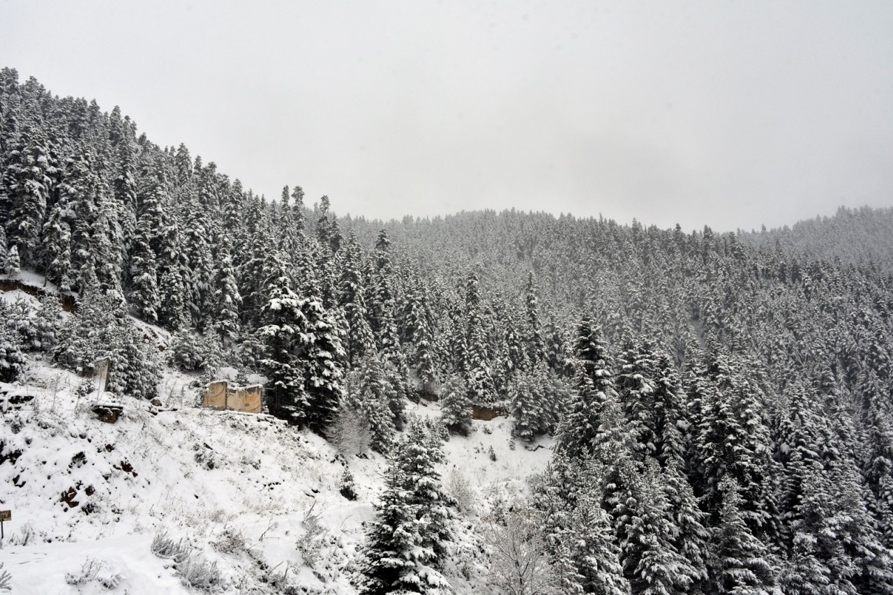 Zigana Geçidi'nde Kar Kalınlığı 10 Santimetreyi Geçti 6