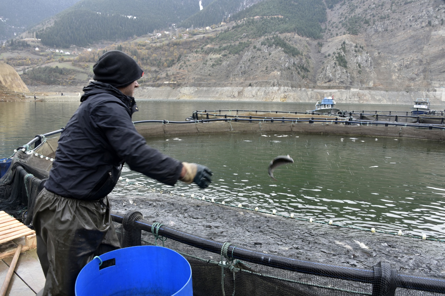 12 bin nüfuslu ilçeden milyon nüfuslu ülkelere balık ihraç ediliyor 7