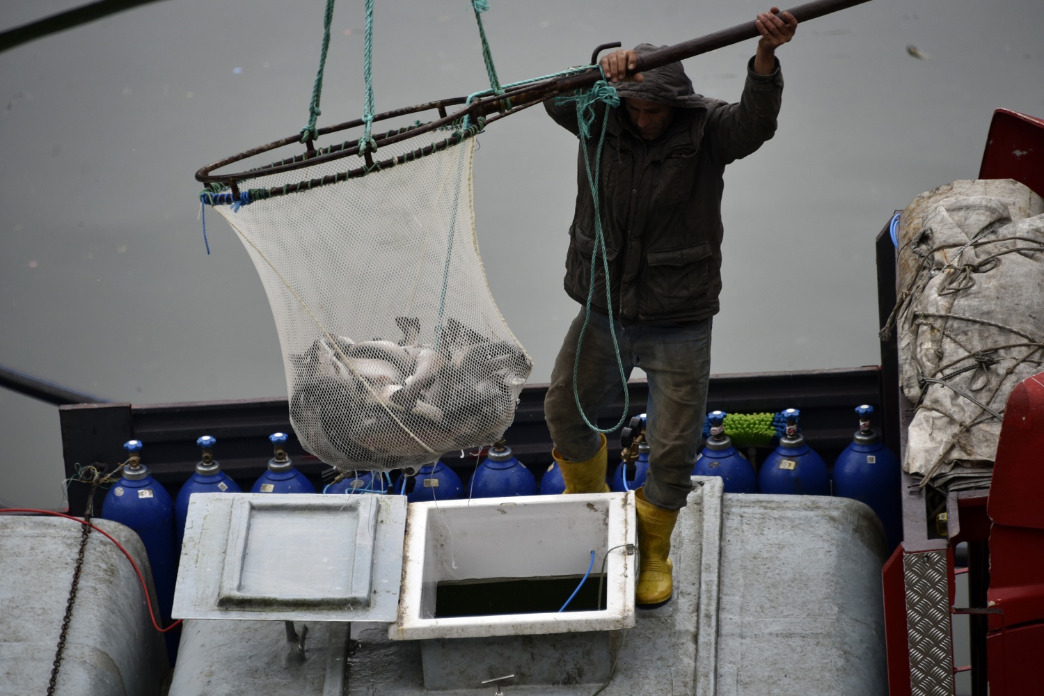 12 bin nüfuslu ilçeden milyon nüfuslu ülkelere balık ihraç ediliyor 16