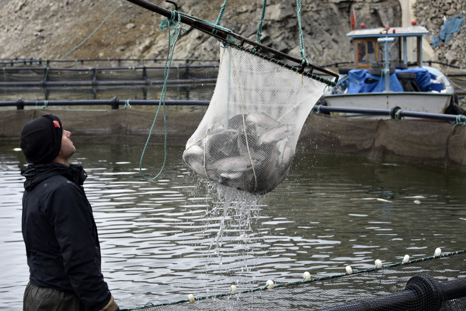12 bin nüfuslu ilçeden milyon nüfuslu ülkelere balık ihraç ediliyor 18