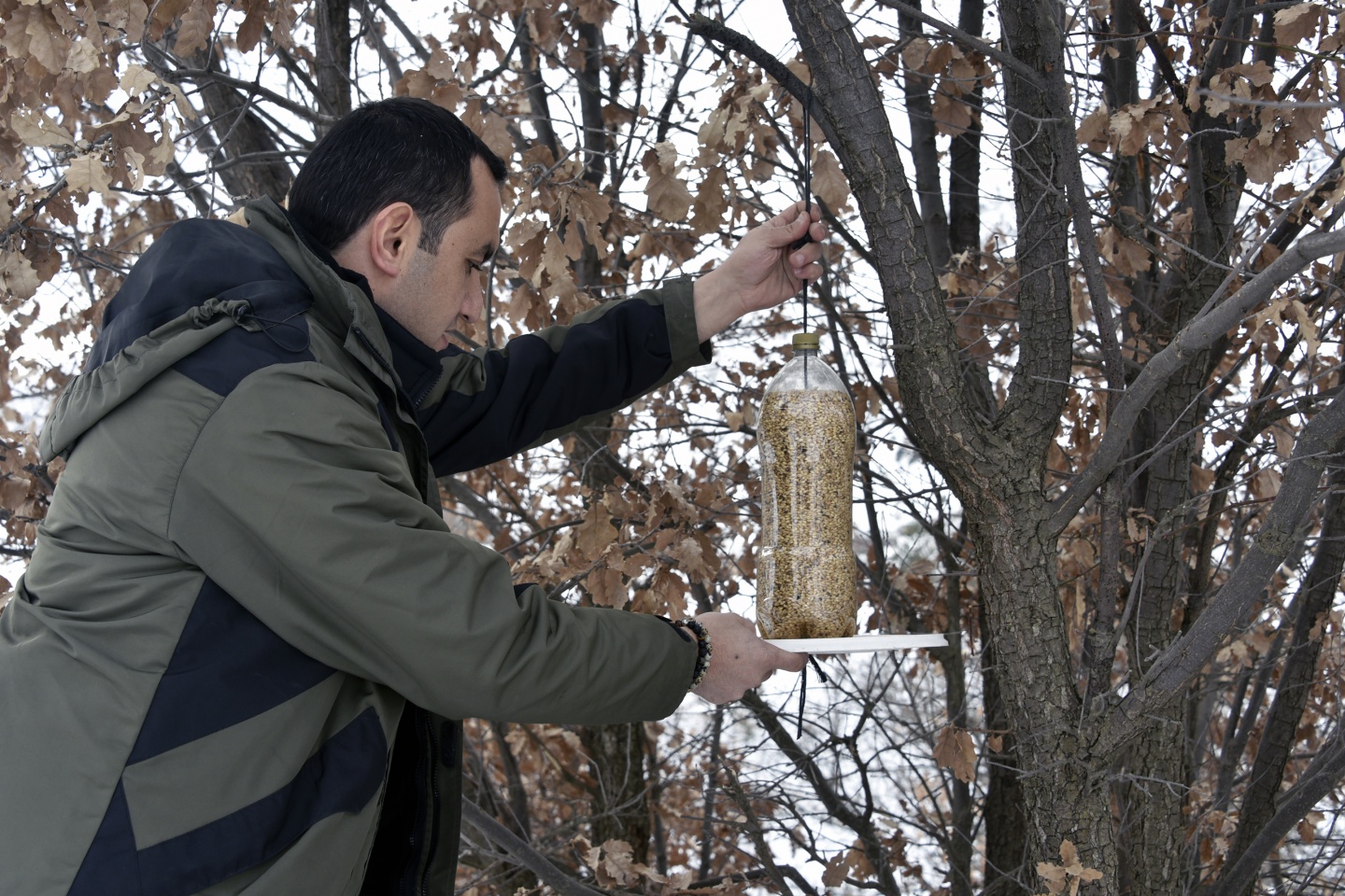 Yaban hayatını unutmayın 4