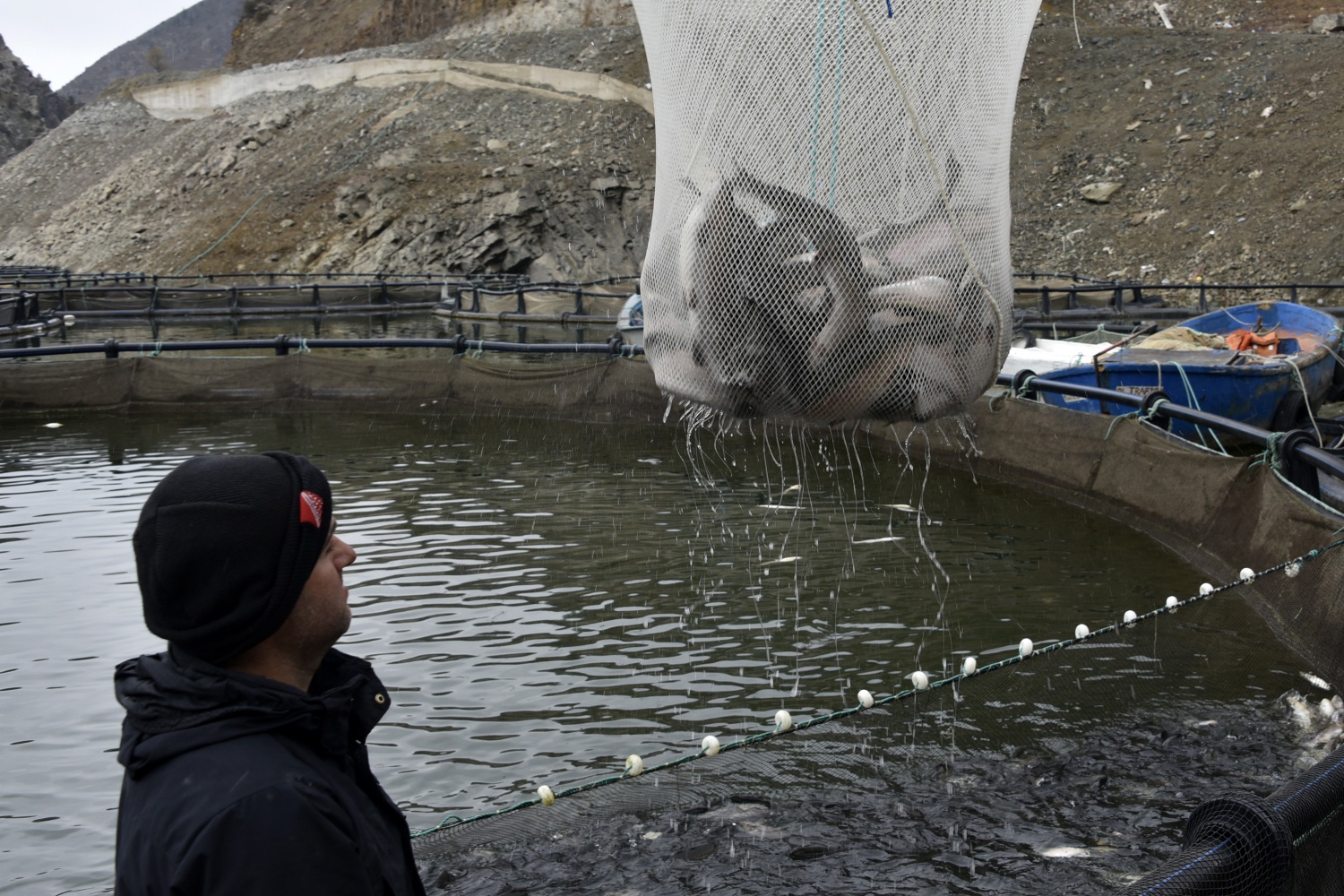 12 bin nüfuslu ilçeden milyon nüfuslu ülkelere balık ihraç ediliyor 22