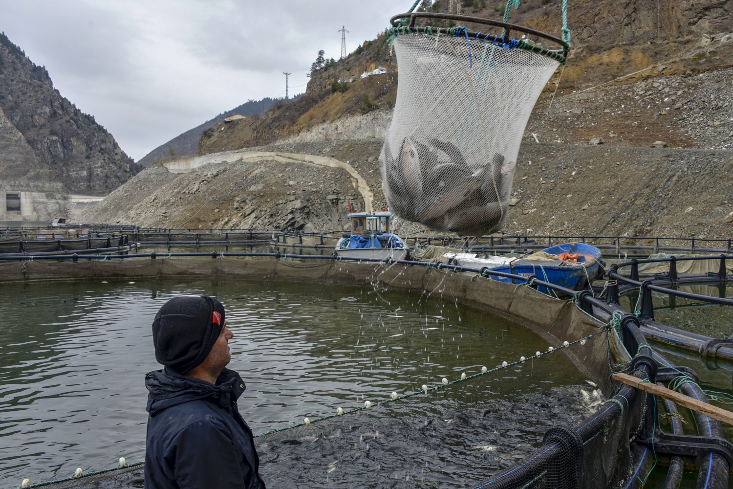 12 bin nüfuslu ilçeden milyon nüfuslu ülkelere balık ihraç ediliyor 26