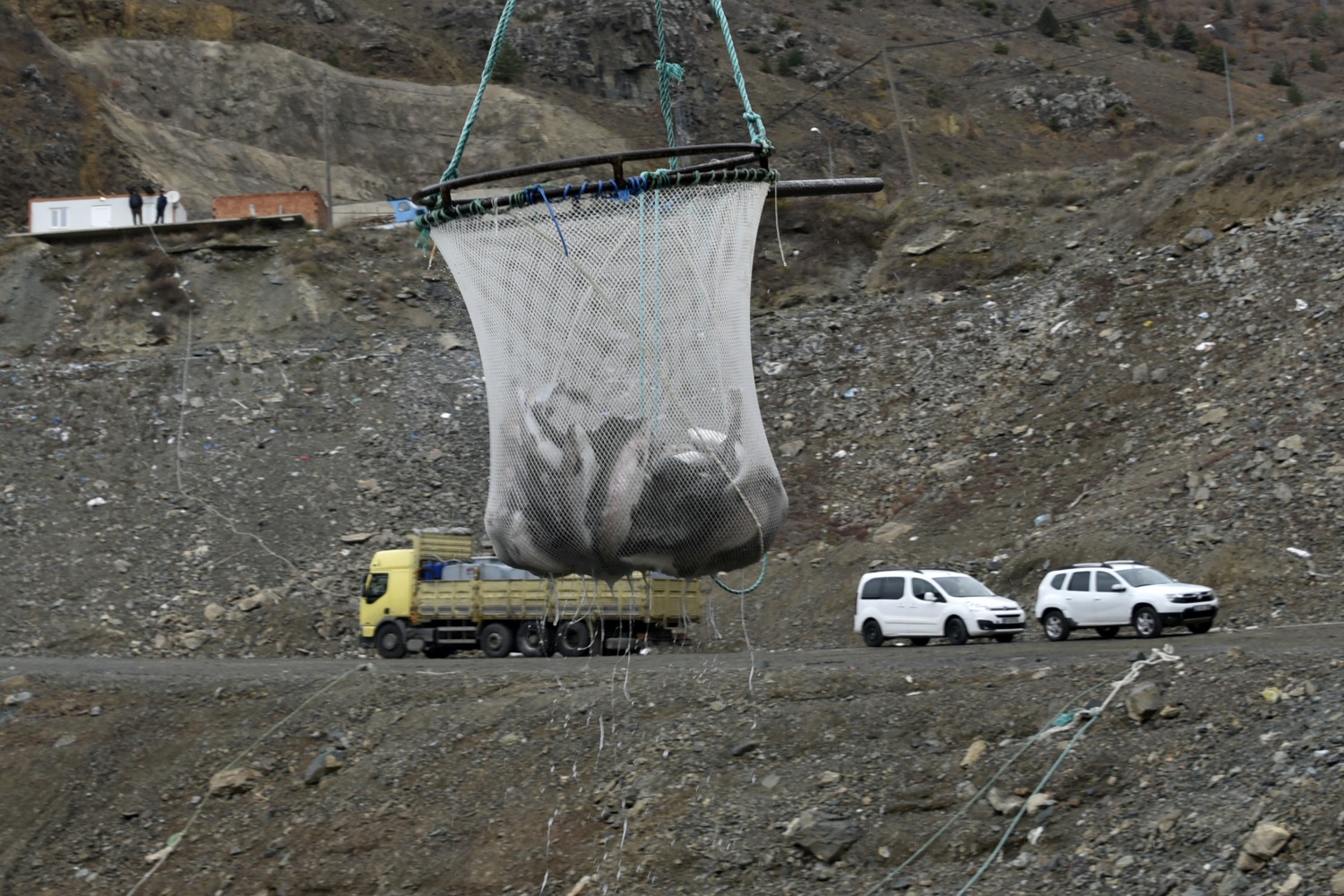 12 bin nüfuslu ilçeden milyon nüfuslu ülkelere balık ihraç ediliyor 28