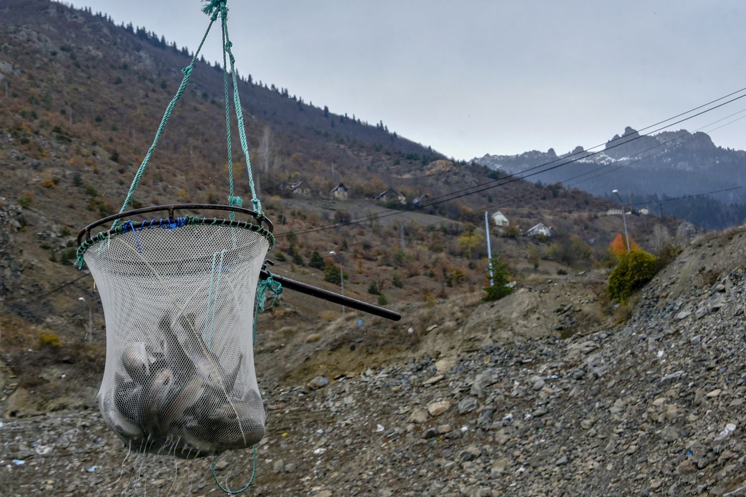 12 bin nüfuslu ilçeden milyon nüfuslu ülkelere balık ihraç ediliyor 29