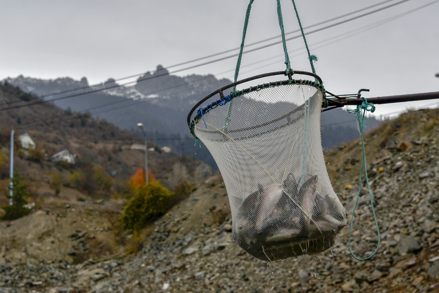 12 bin nüfuslu ilçeden milyon nüfuslu ülkelere balık ihraç ediliyor 31