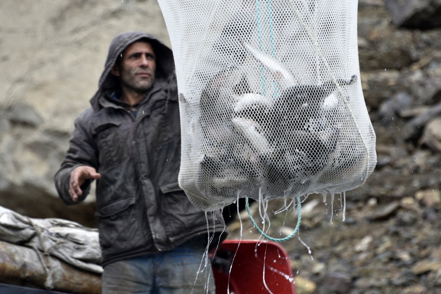 12 bin nüfuslu ilçeden milyon nüfuslu ülkelere balık ihraç ediliyor 36