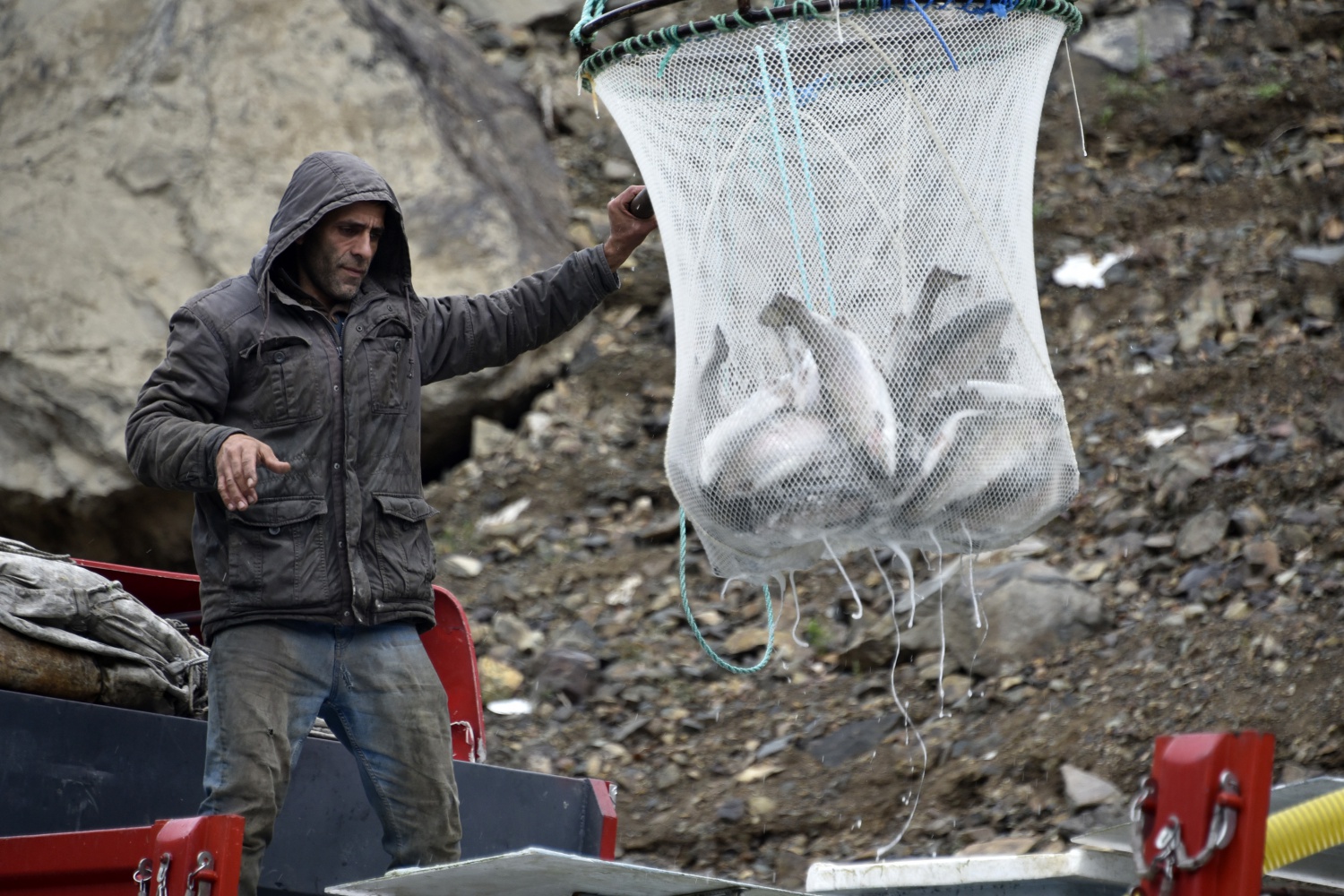 12 bin nüfuslu ilçeden milyon nüfuslu ülkelere balık ihraç ediliyor 32